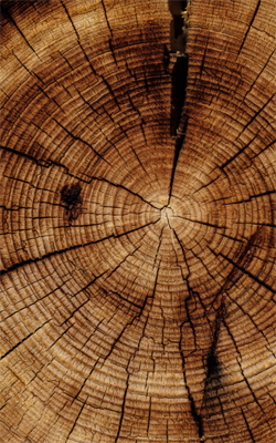 BARTES meble stalowo-drewniane